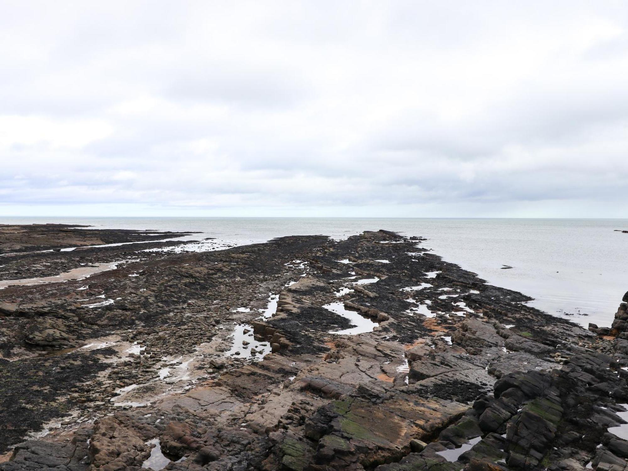Barnacle Cove Villa Beadnell Buitenkant foto